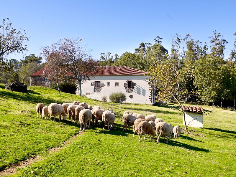 A Pena De Augasantas Guest House Oca de Abaixo Екстериор снимка