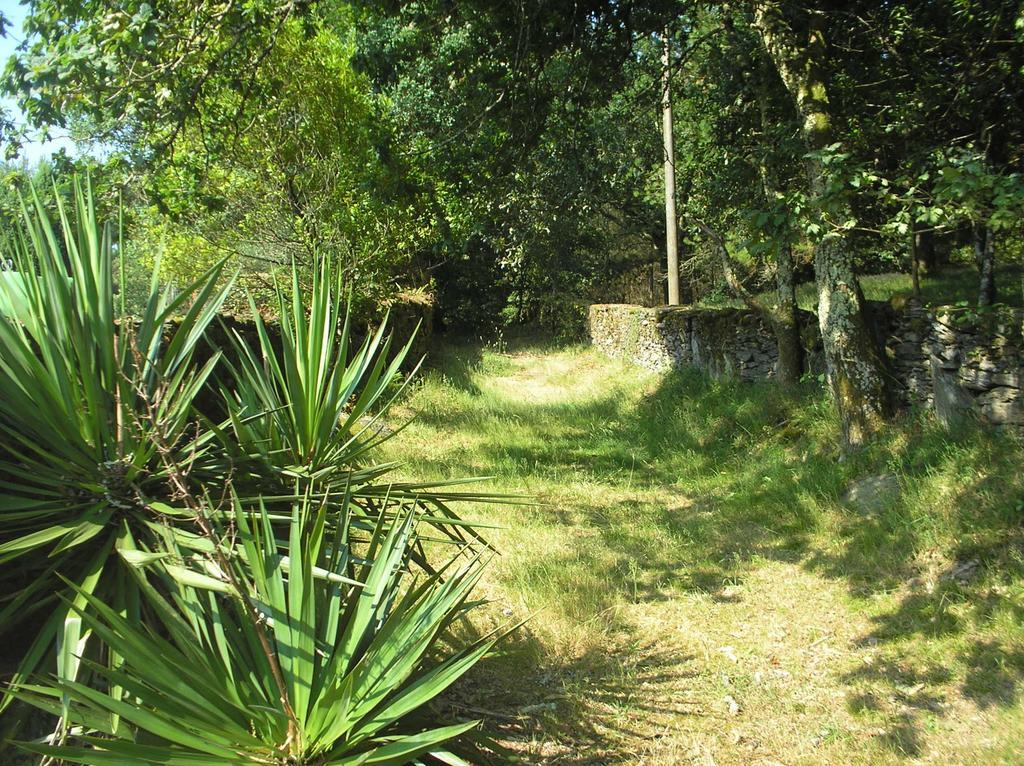 A Pena De Augasantas Guest House Oca de Abaixo Екстериор снимка