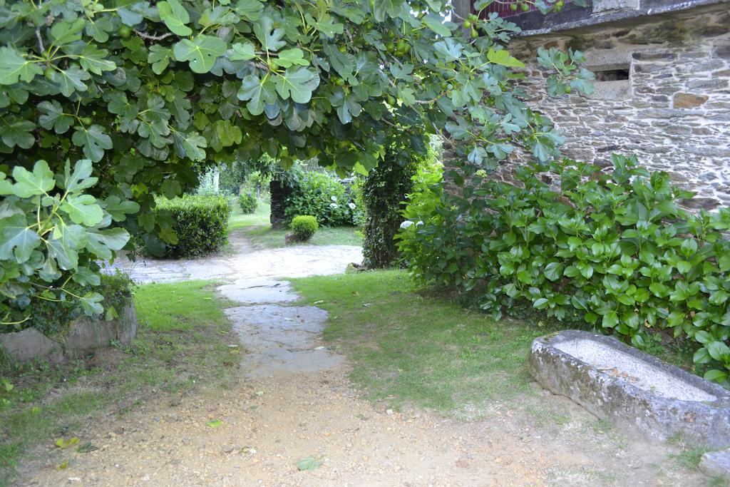 A Pena De Augasantas Guest House Oca de Abaixo Екстериор снимка
