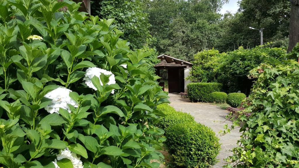 A Pena De Augasantas Guest House Oca de Abaixo Екстериор снимка