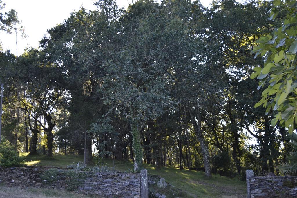 A Pena De Augasantas Guest House Oca de Abaixo Екстериор снимка